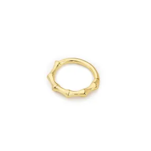 14k Gold Bone Helix Piercing