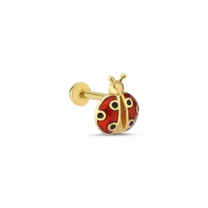 14k Gold Ladybug Model Tragus Piercing