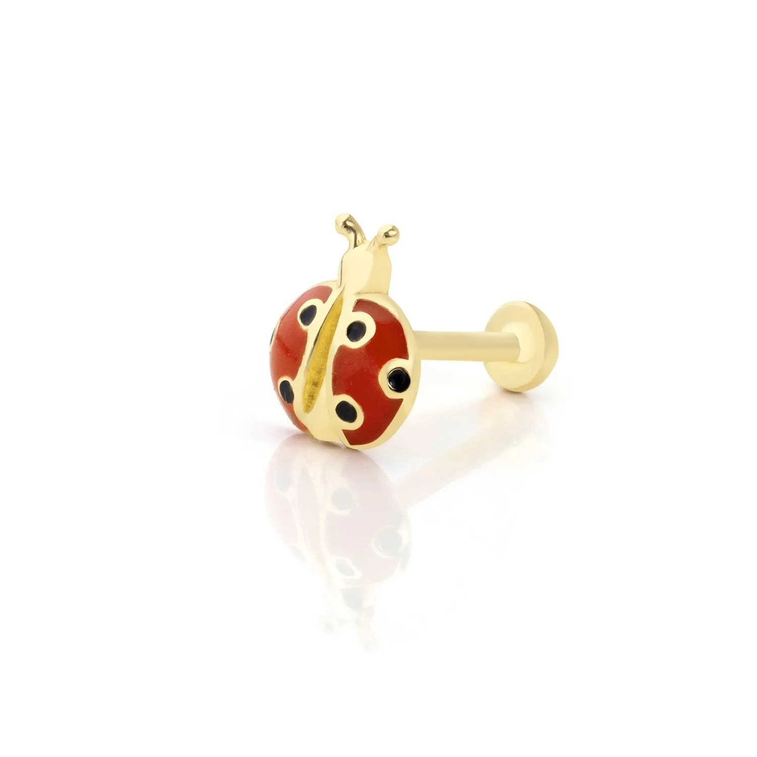 14k Gold Ladybug Model Tragus Piercing