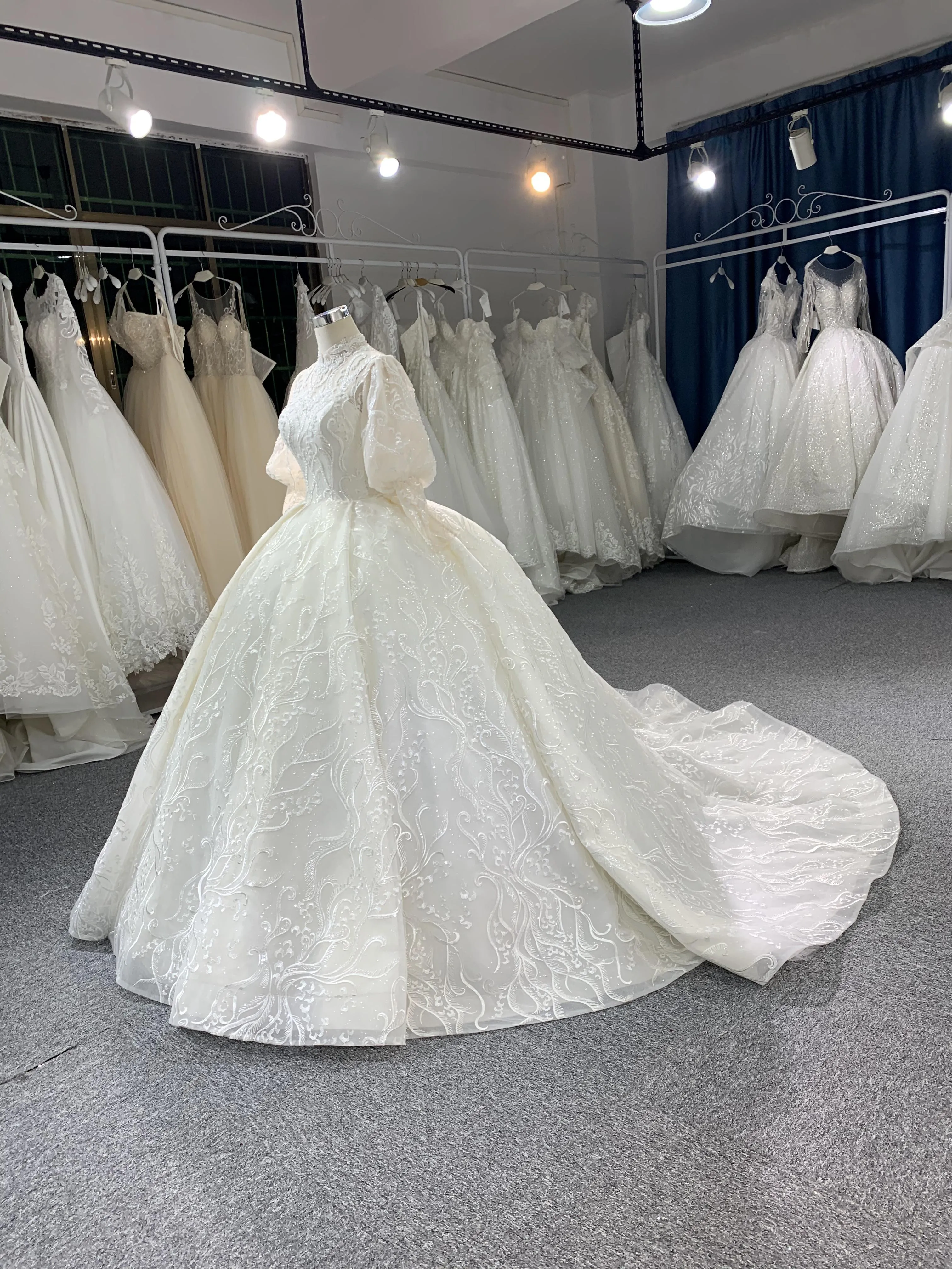 #702 Cathedral Train Long Sleeve Wedding Grown Ball Dress