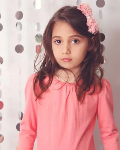 Aileen Hair Clip
