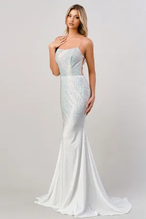 Cinderella Evening Dress CD0179