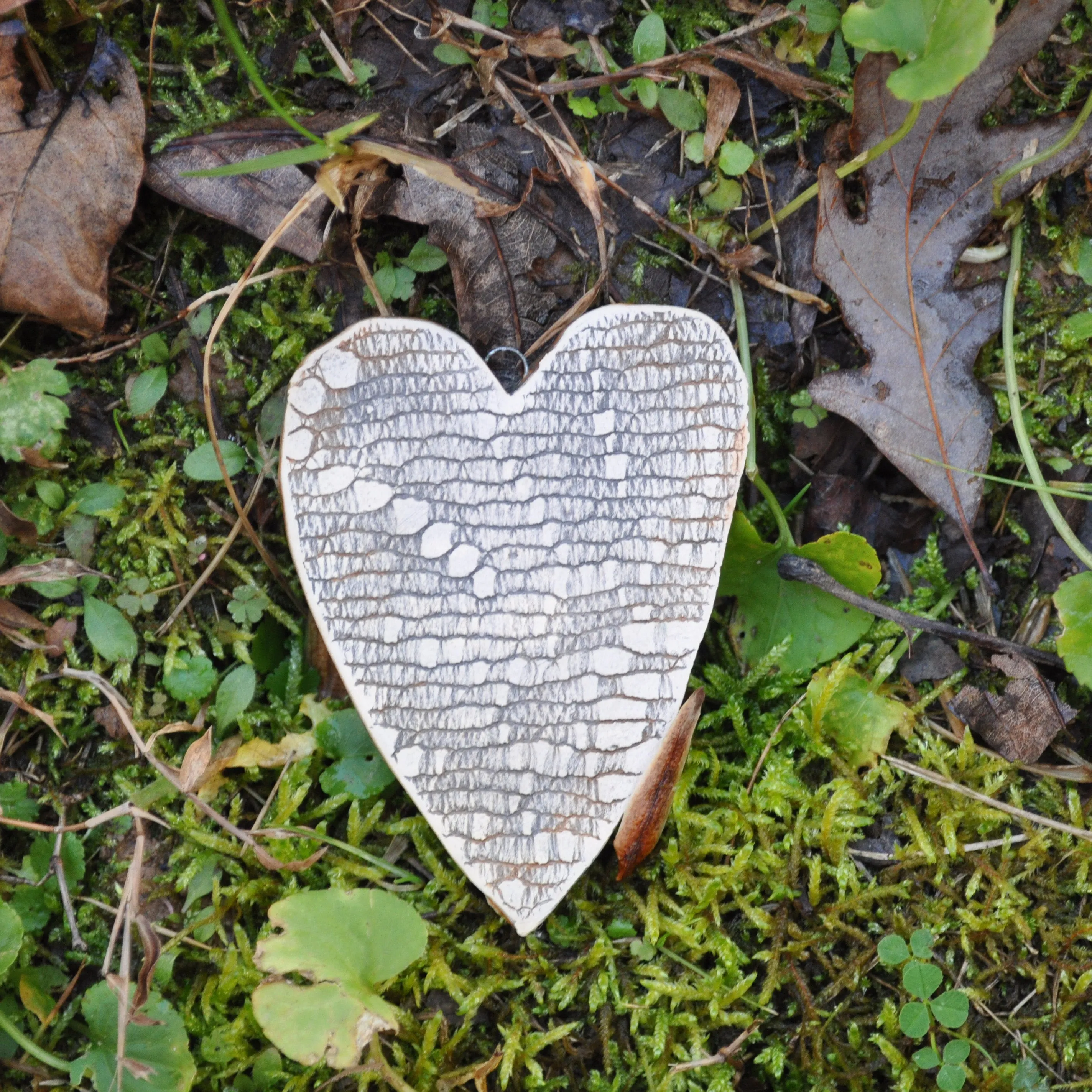 Clay Fossil Ornament, To Care for the Earth verse
