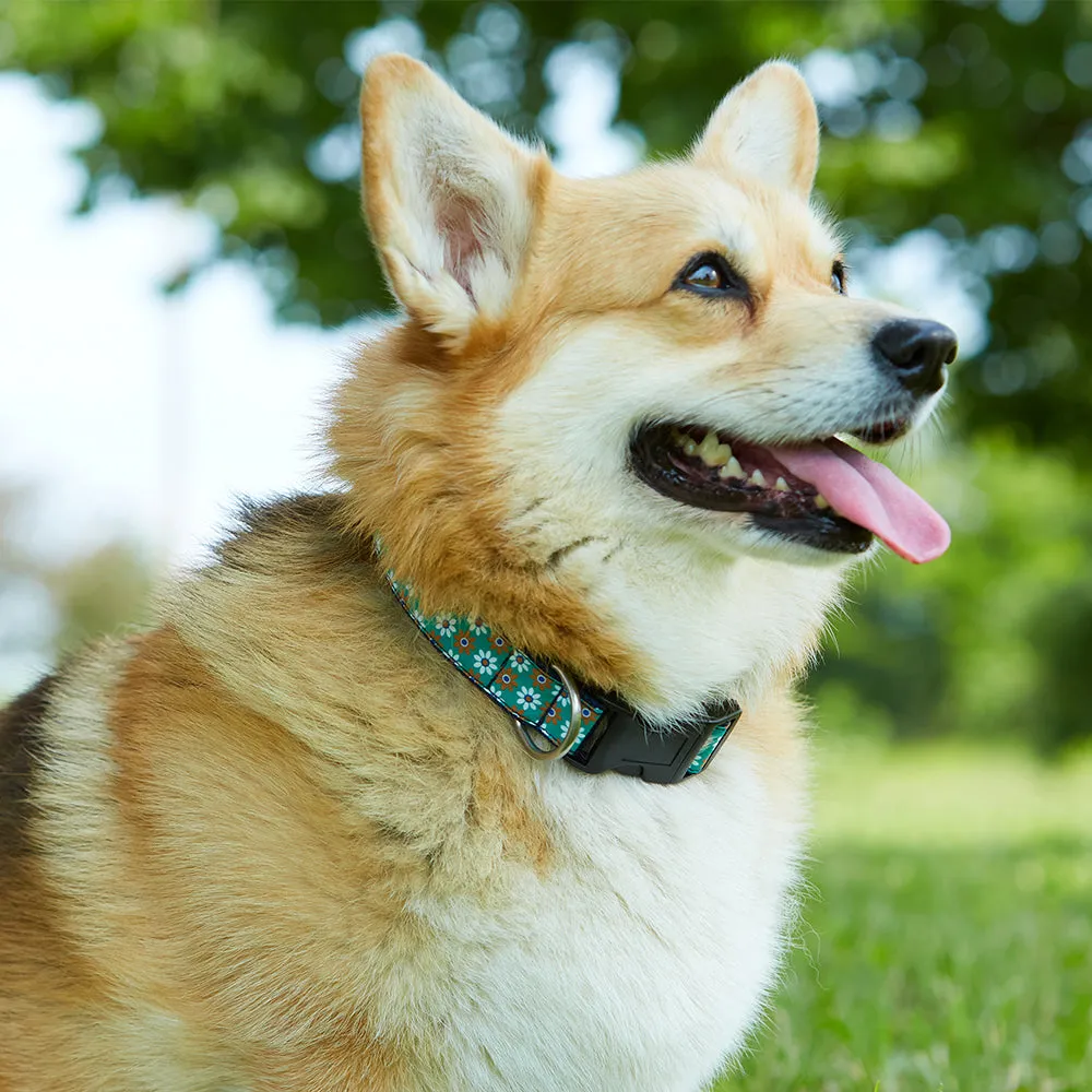 Colinette Slate - Dog Collar