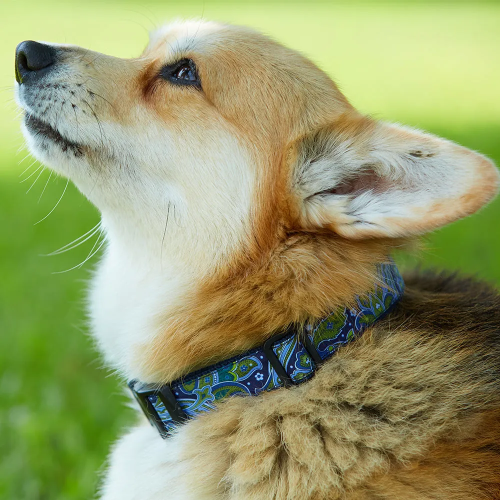 Colinette Slate - Dog Collar