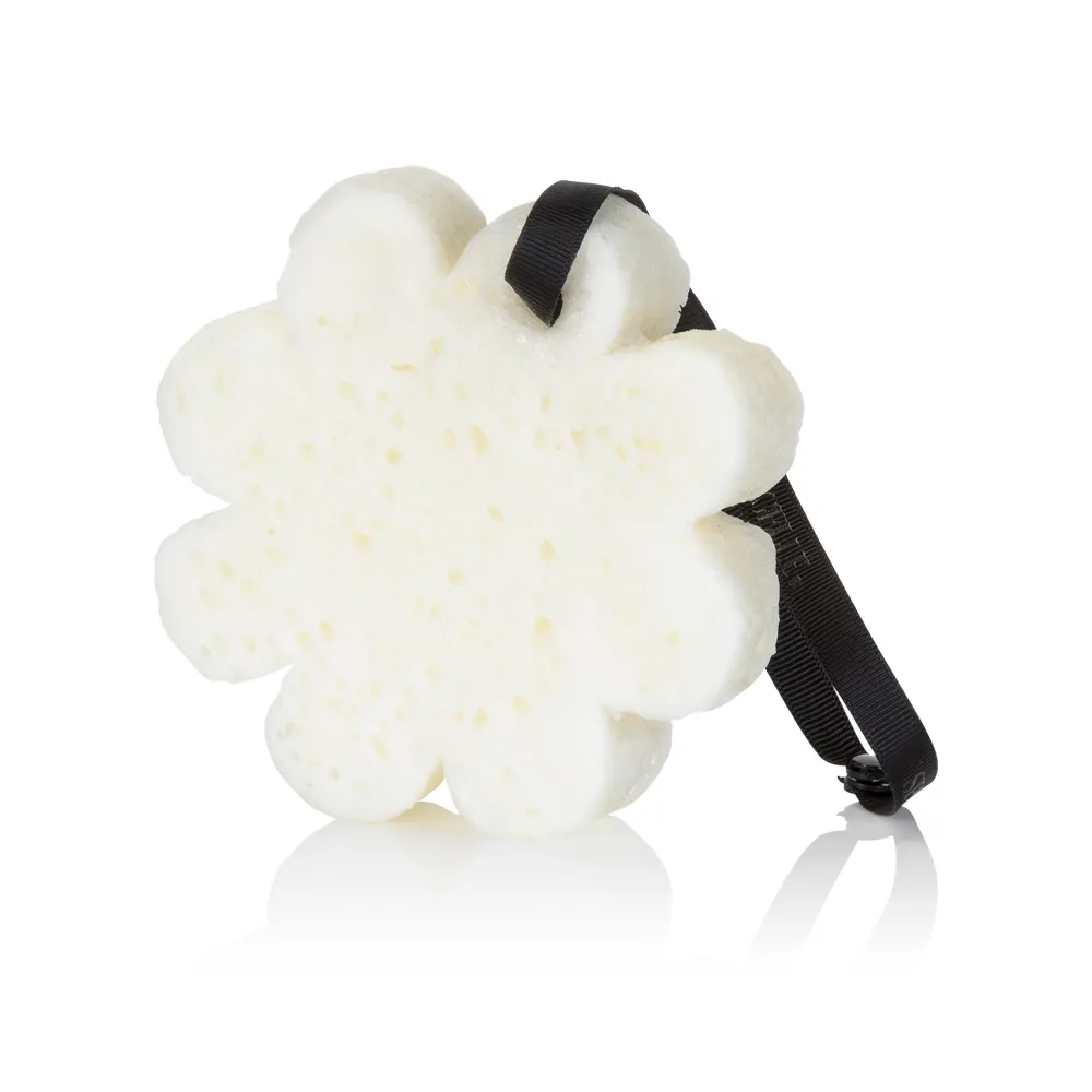 Edelweiss | Elevation Boxed Flower- spongelle