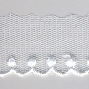 Embroidered Tulle Lace #00 Off White