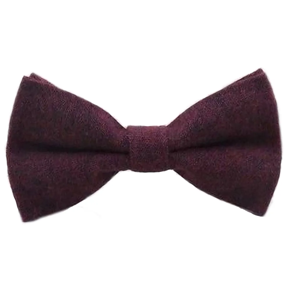 Emily Boys Burgundy Red Bow Tie
