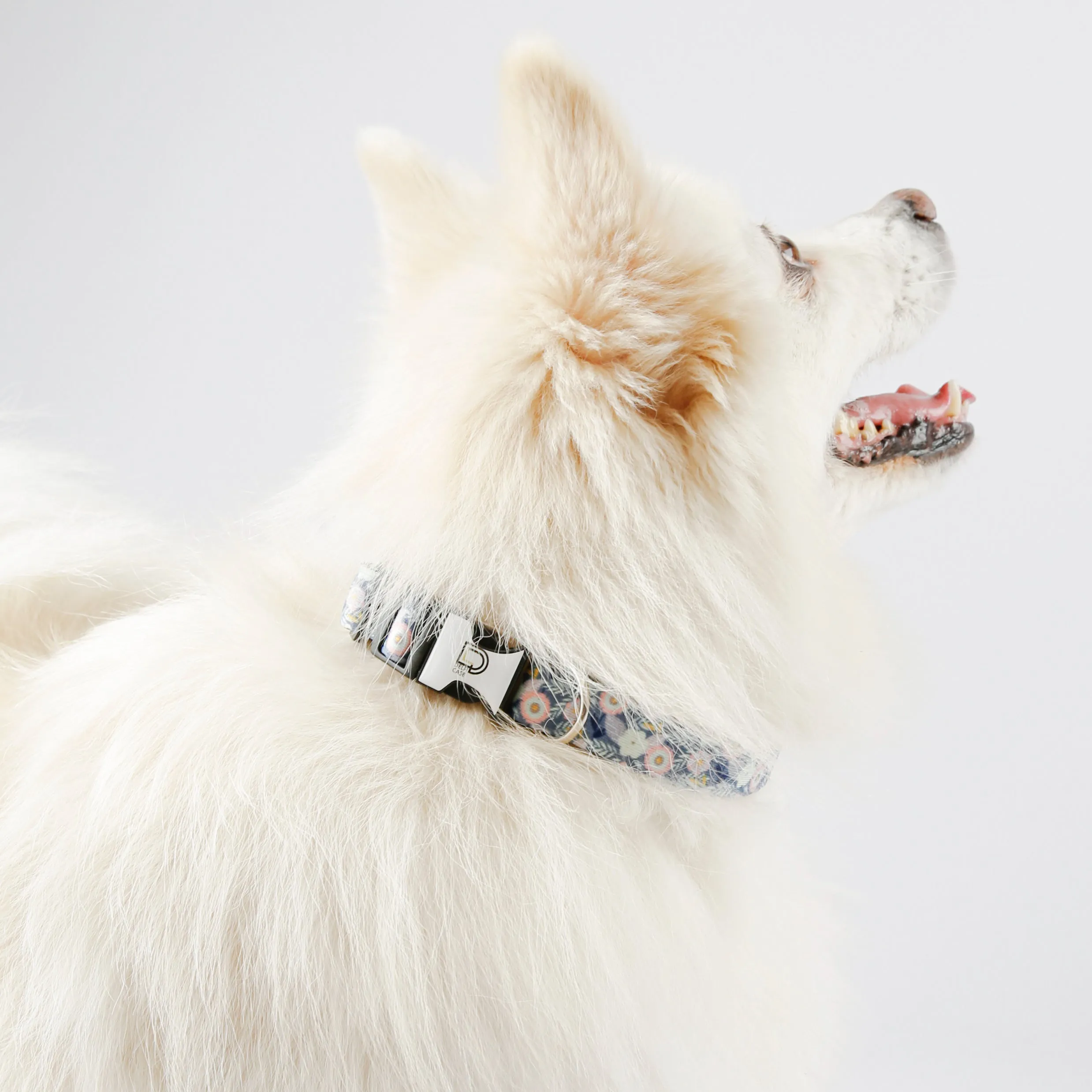Fabric Patterned Adjustable Dog Collar