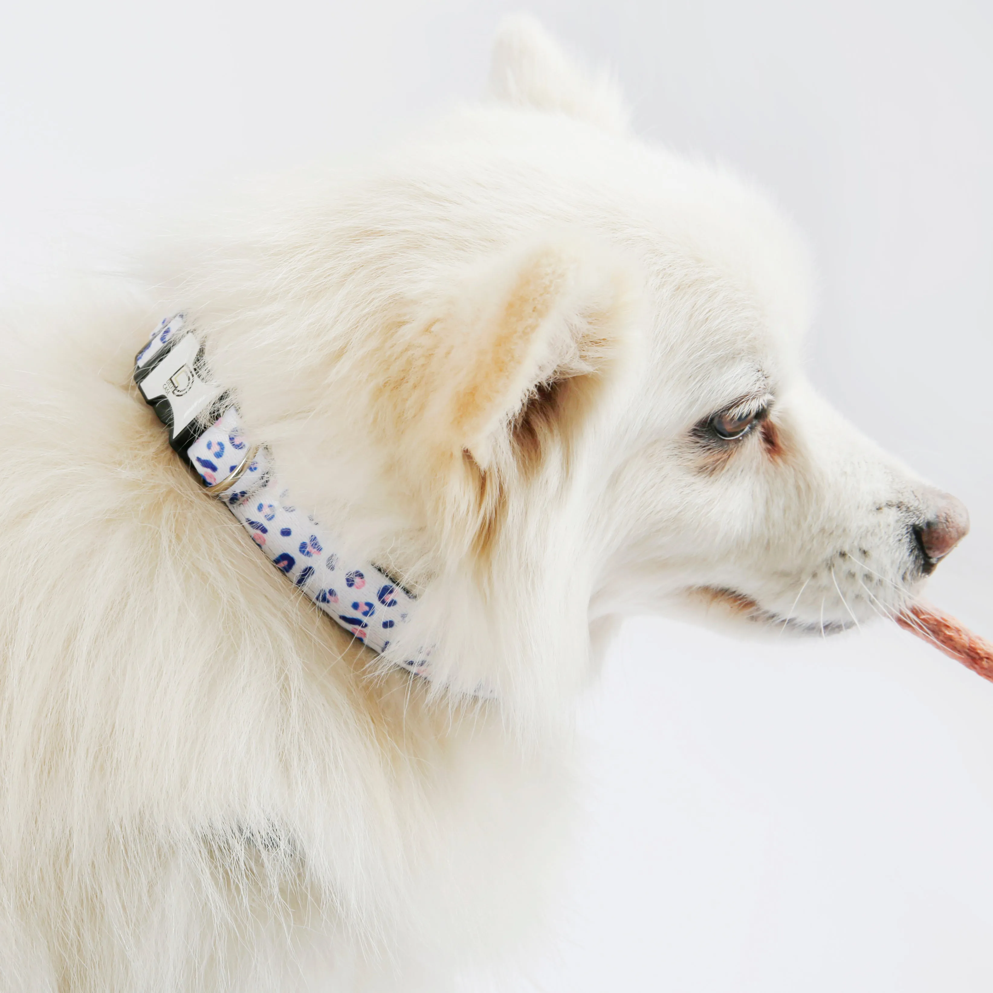Fabric Patterned Adjustable Dog Collar