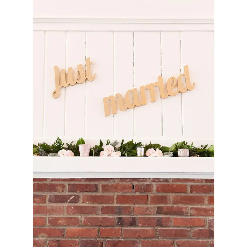 Just Married Photo Prop