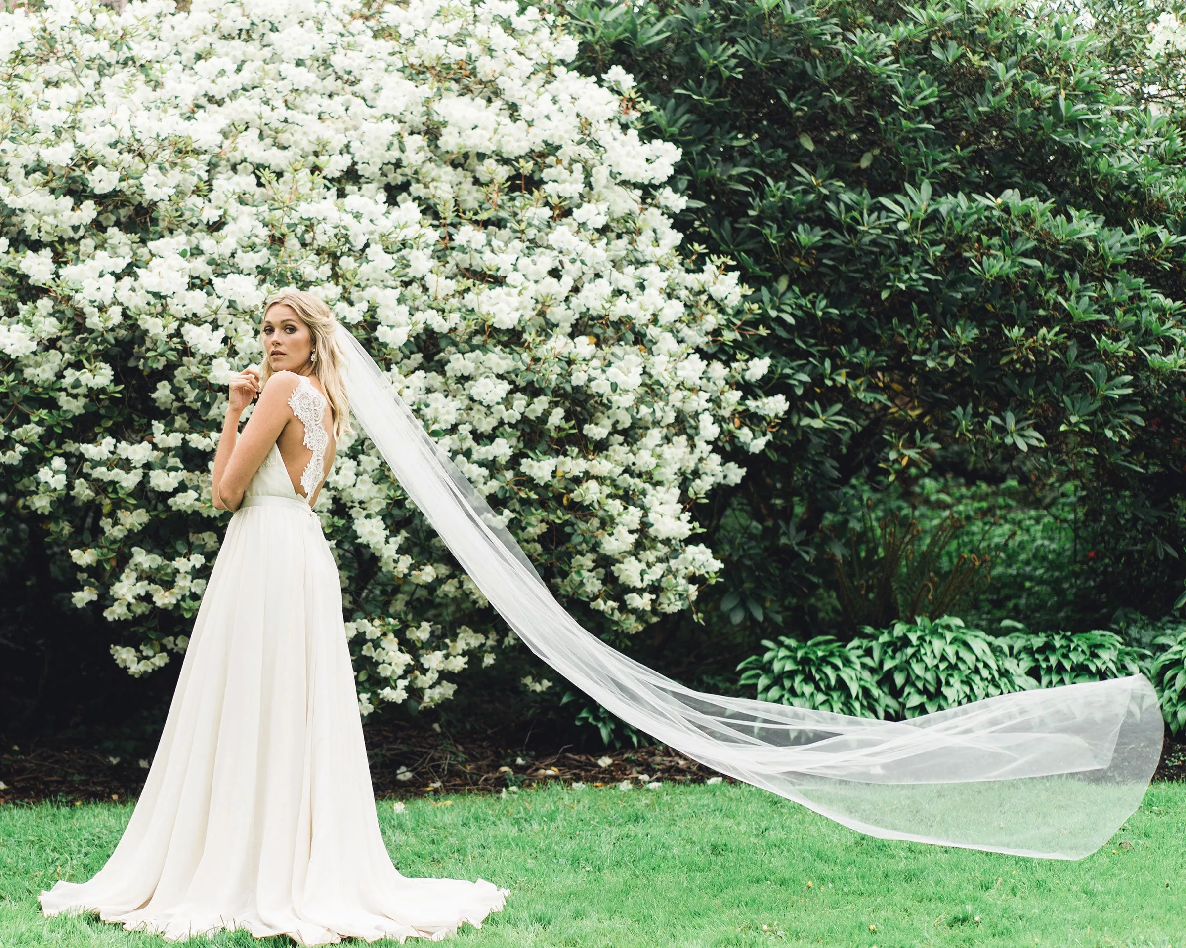 Lily Cathedral Veil