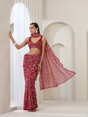 Maroon  Hand Chikankari Tepchi Saree with Blouse Fabric