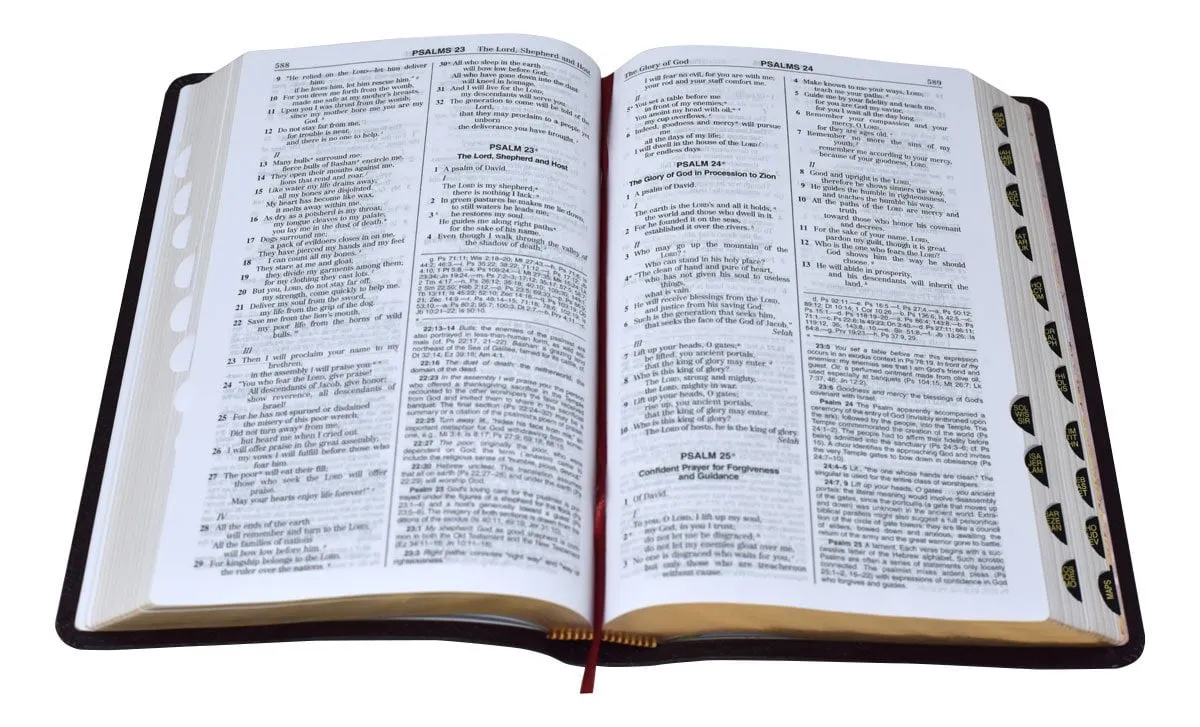 New American Bible (NAB) Deluxe Gift Bible (Bonded Leather) Burgundy (INDEXED)