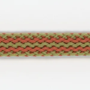 Polyester Stripe Tape #03 Bitter Orange & Olive