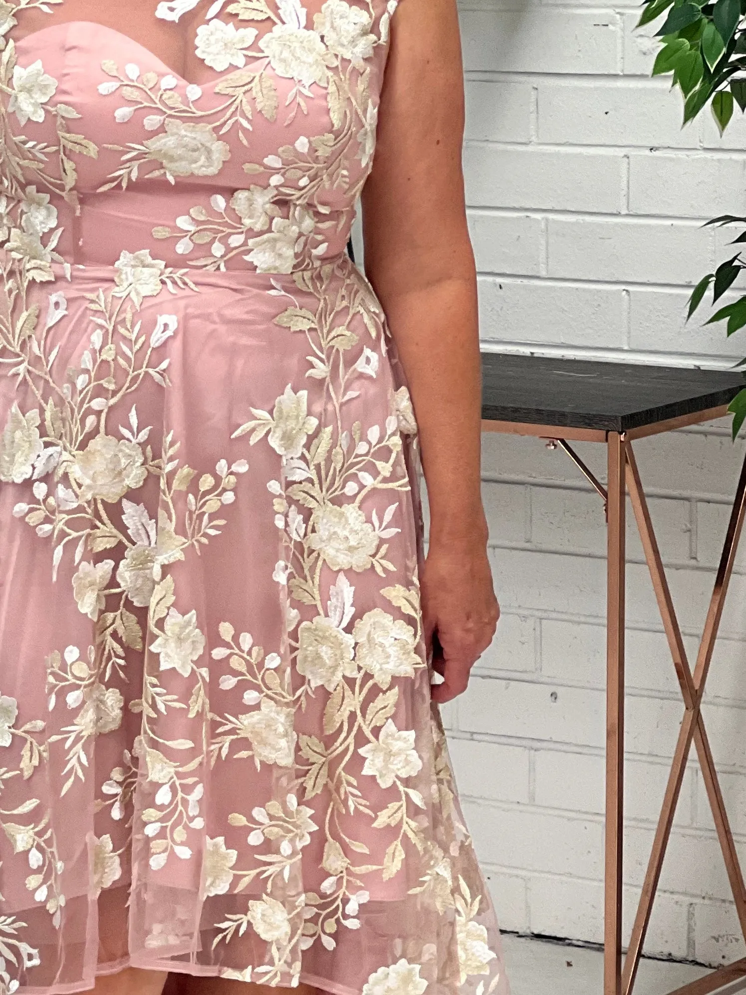 Ria Blush Embroidered Evening Dress