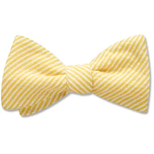 Roanoke Island - bow ties