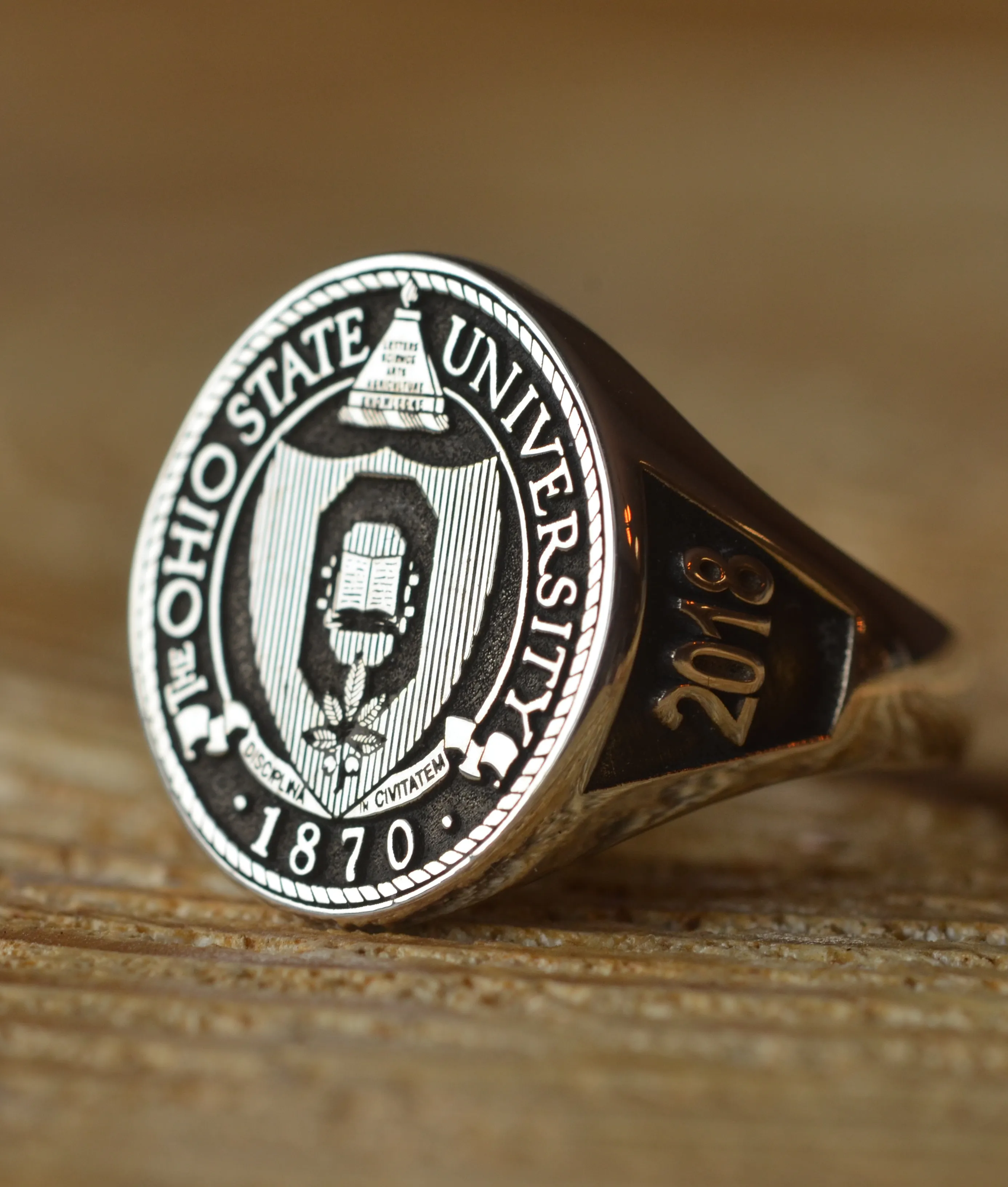 Solid Gold Custom Made Ohio State University College Ring - Any College