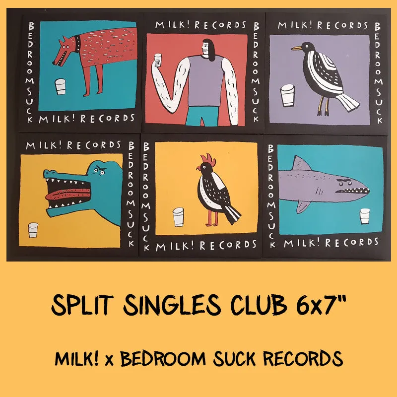 SPLIT SINGLES CLUB 'Volume 1' 6x7" Set