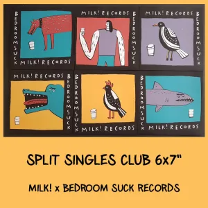 SPLIT SINGLES CLUB 'Volume 1' 6x7" Set