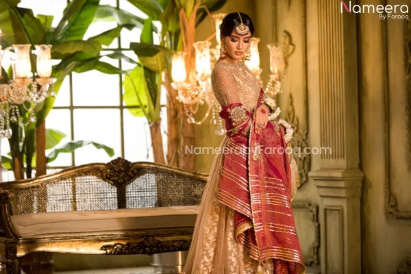 Traditional Pakistani Wedding Dress in Long Frock #PN06