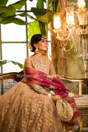 Traditional Pakistani Wedding Dress in Long Frock #PN06