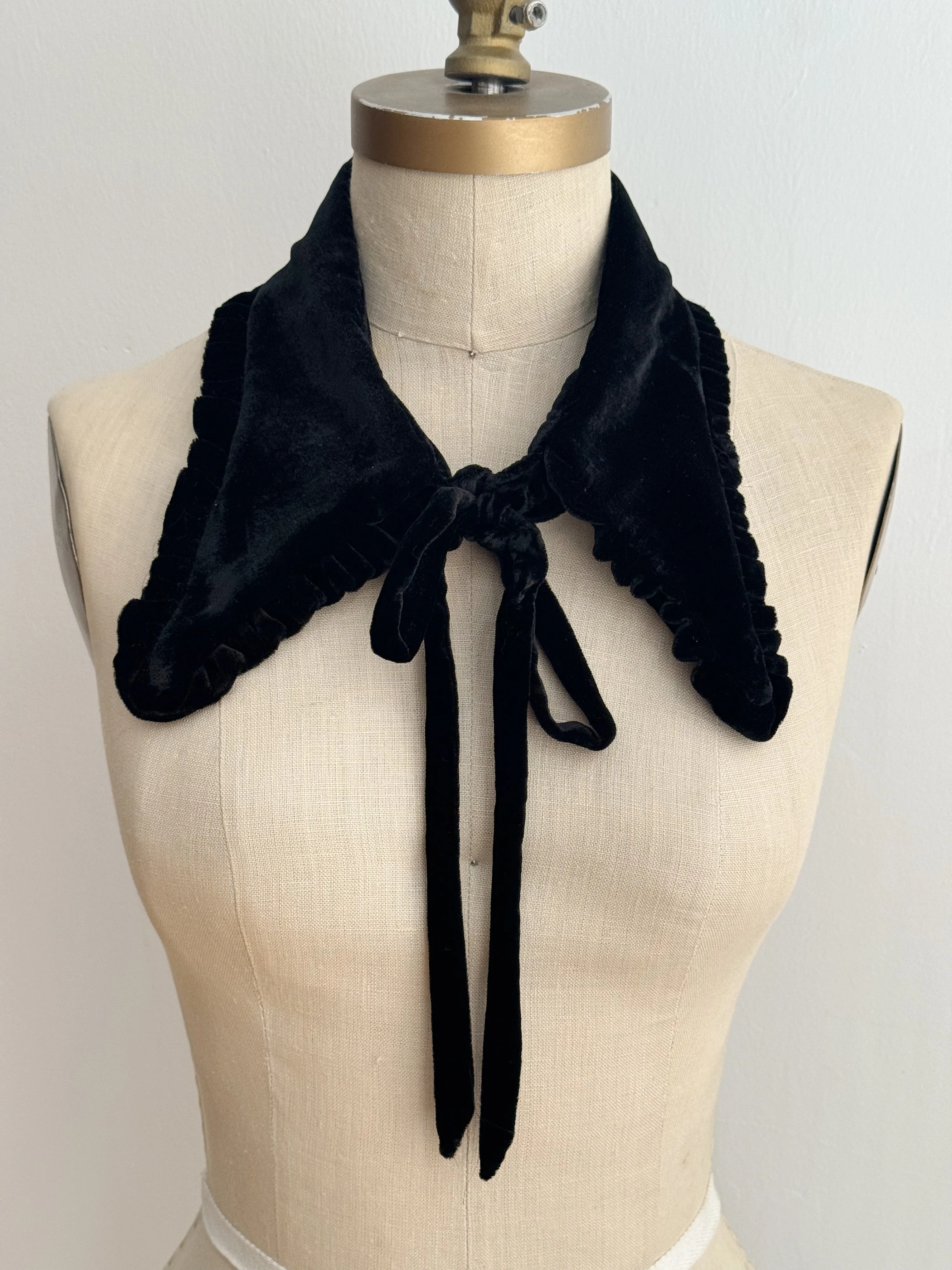 Winchester Velvet Collar